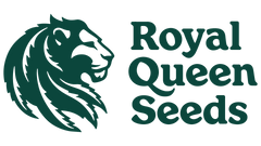 Royal Queen Seeds Cannabissamen