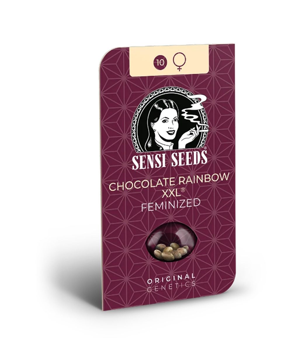 sensi seeds Chocolate Rainbow XXL Feminisierte Hanfsamen Cannabisblüte