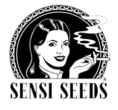 Sensi Seeds Cannabissamen