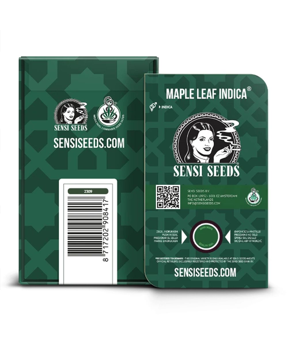 sensi seeds Maple Leaf hanfpflanze