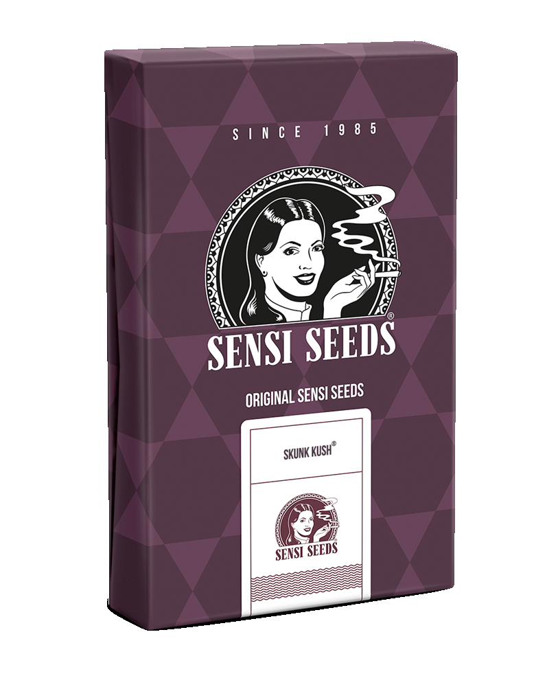 Sensi Seeds Skunk Kush feminisierte Hanfsamen Blüte