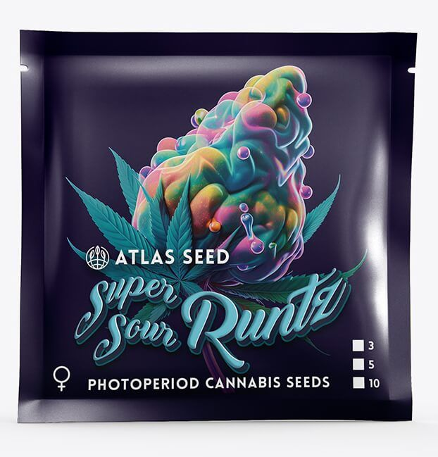 Atlas Seeds Super Sour Runtz Feminisierte Hanfsamenn