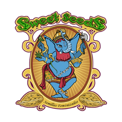 Sweet Seeds Cannabissamen