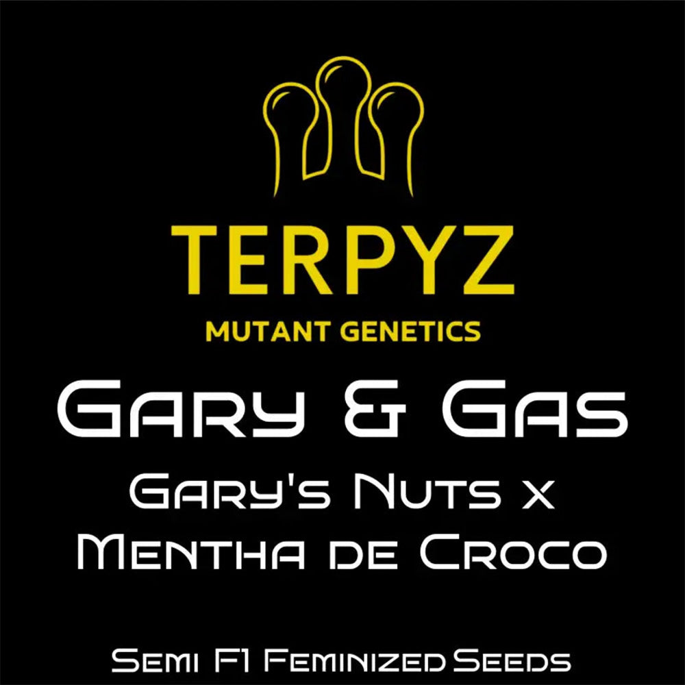 Terpyz Mutant Genetics Garry & Gas Feminisierte Hanfsamen