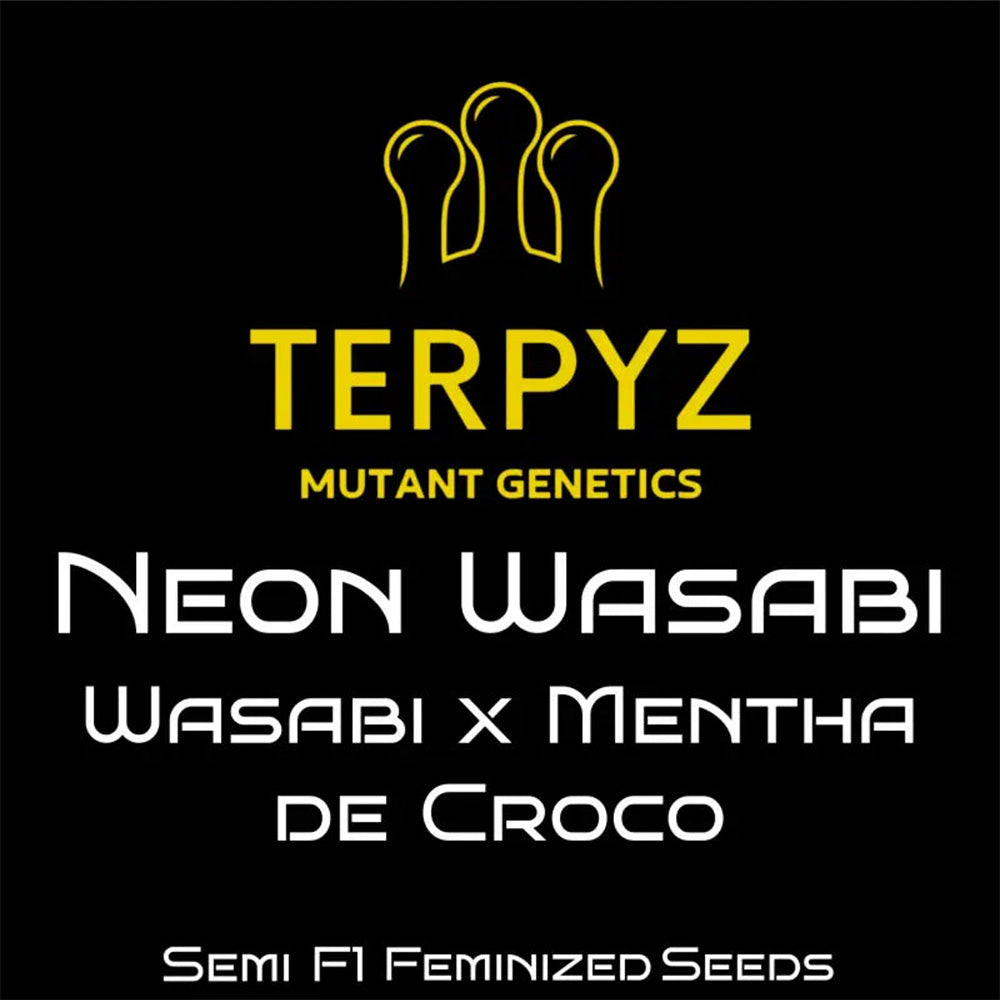 Terpyz Mutant Genetics Neon Wasabi Feminisierte Hanfsamen