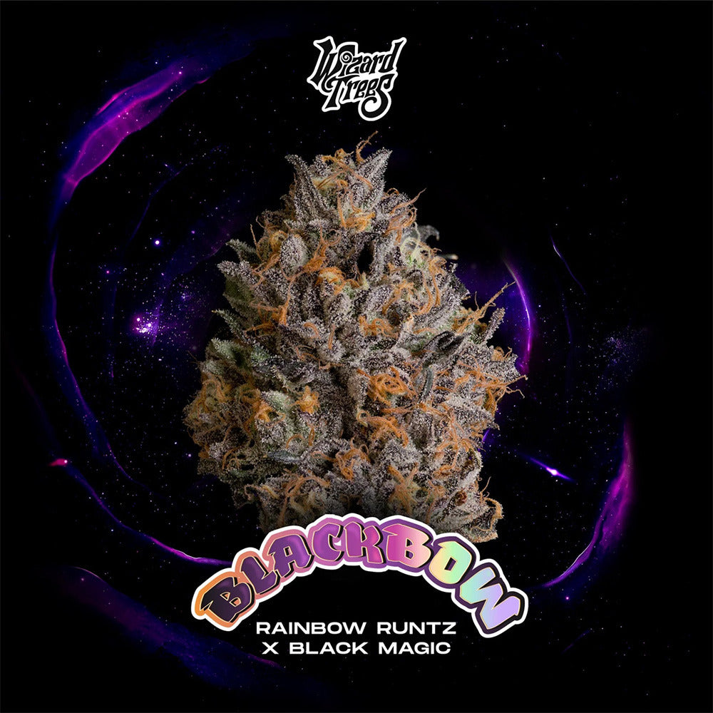 Wizard Trees Black Bow Feminisierte Cannabissamen