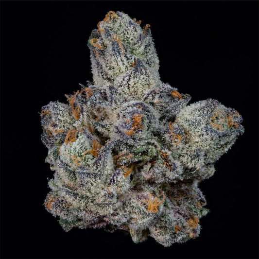 Lemon Fever feminisierte Cannabissamen