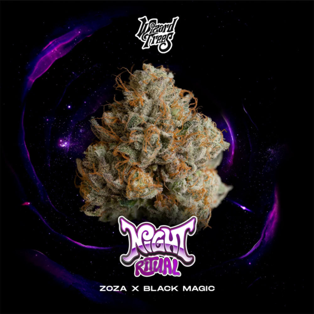Wizard Trees Night Ritual Feminisierte Cannabissamen