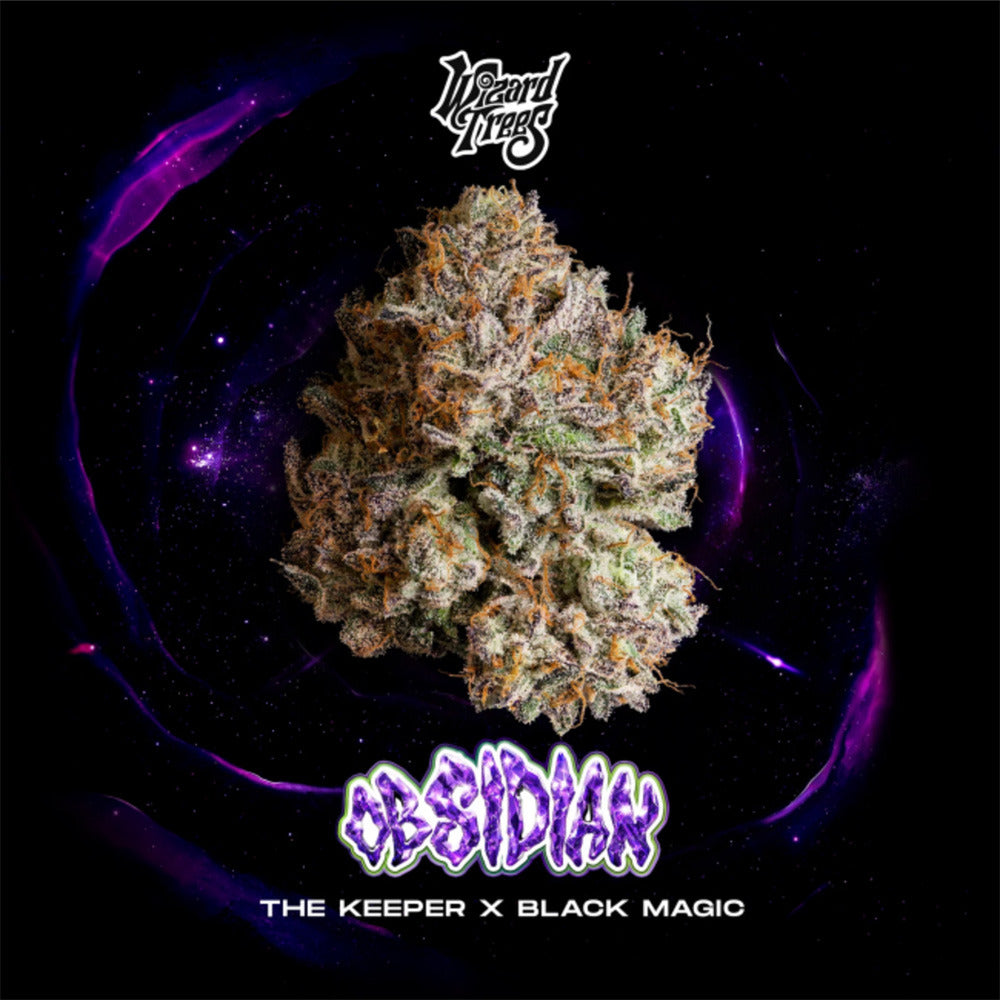 Wizard Trees Obsidian Feminisierte Cannabissamen